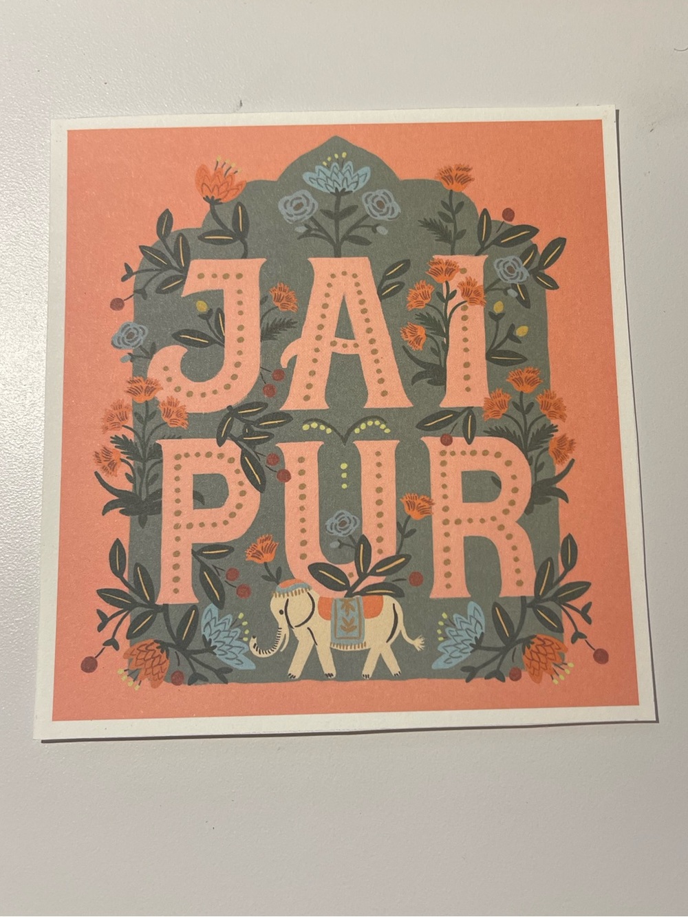 4️⃣for2️⃣0️⃣! Rifle Paper Co Jaipur Print